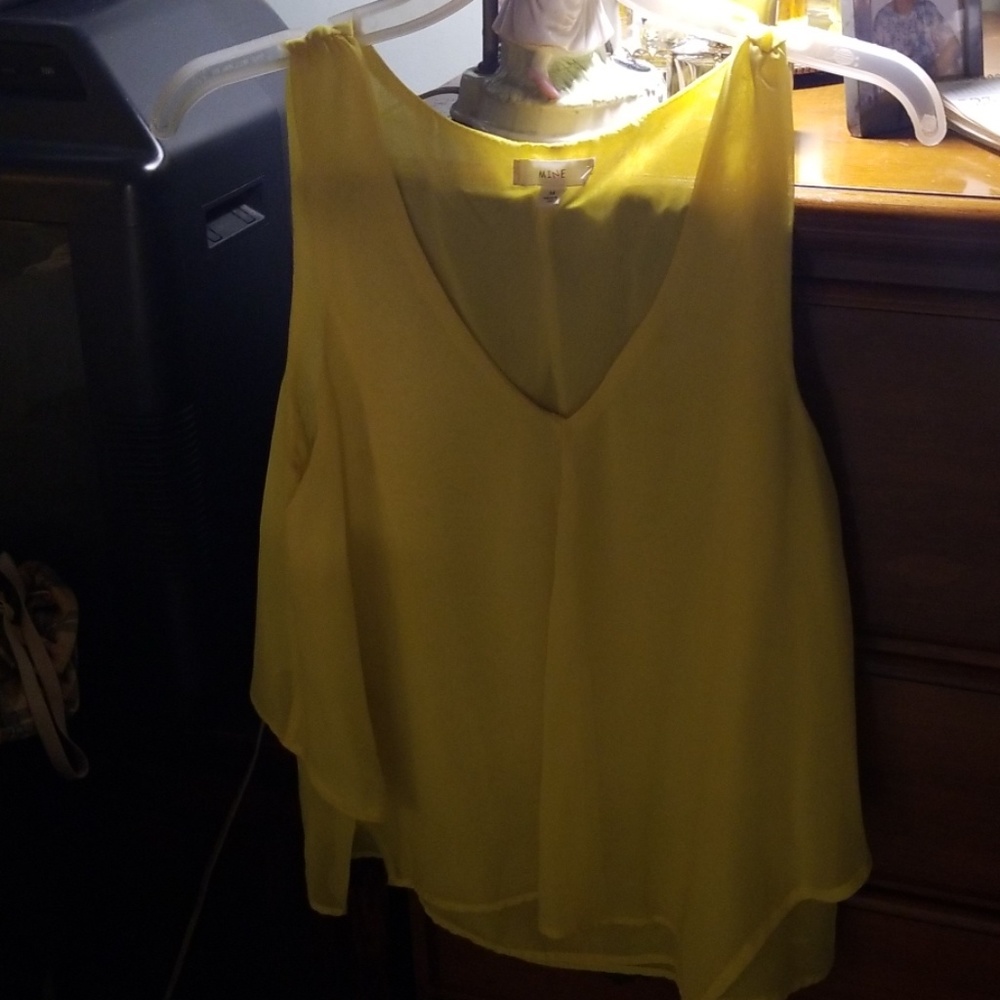 Lady's  summer  top